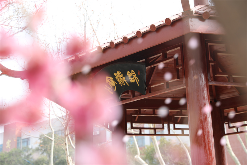 9N1A8416.JPG 9N1A8416.JPG