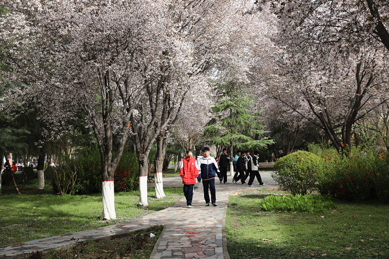 9N1A8976_副本.jpg 9N1A8976_副本.jpg