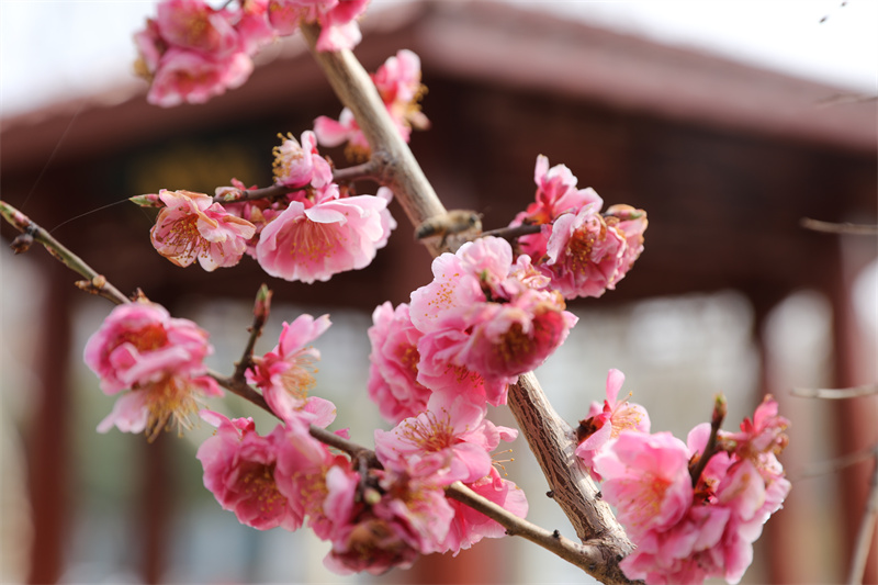 9N1A8415.JPG 9N1A8415.JPG