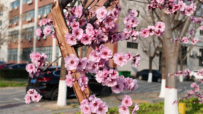 DJI_20260309165148_0251_D.JPG DJI_20260309165148_0251_D.JPG