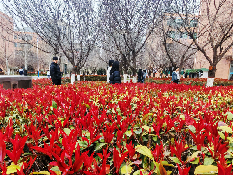 微信图片_20260318151623_1019_58.jpg 微信图片_20260318151623_1019_58.jpg