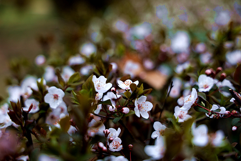 0K9A7099_副本.jpg 0K9A7099_副本.jpg