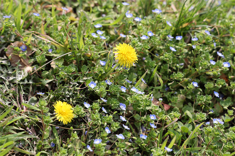 0K9A7091.JPG 0K9A7091.JPG