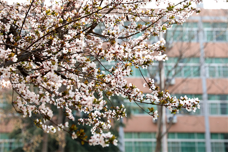 9N1A8495_副本.jpg 9N1A8495_副本.jpg