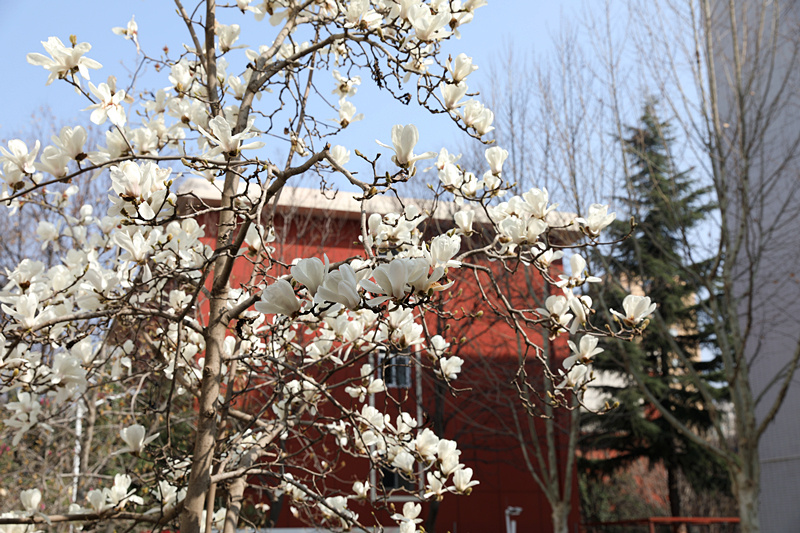 9N1A8077_副本.jpg 9N1A8077_副本.jpg