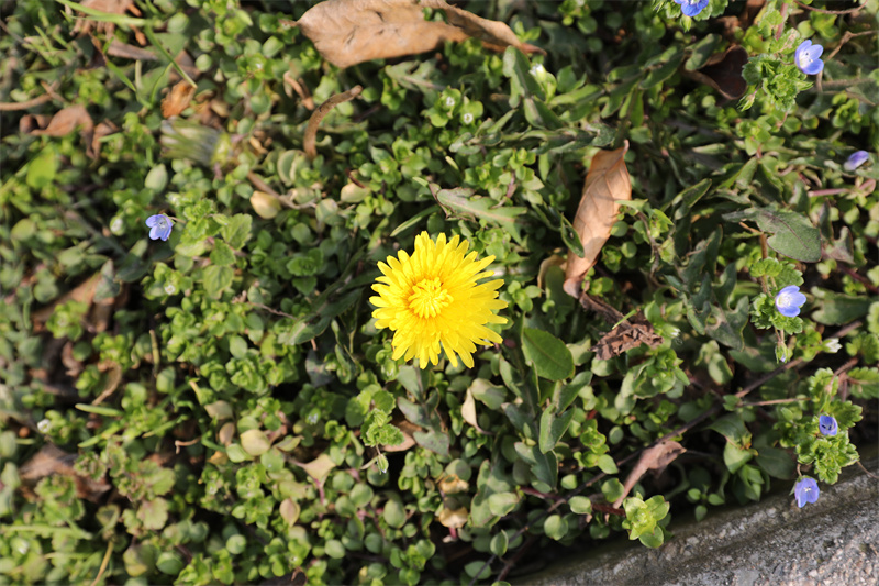 9N1A8313.JPG 9N1A8313.JPG