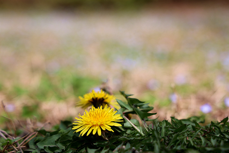 0K9A7125_副本.jpg 0K9A7125_副本.jpg